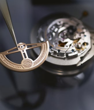 My IWC (및 국제 한정 보증 연장)