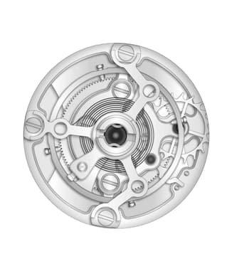 التوربيون | أي دبليو سي شافهاوزن