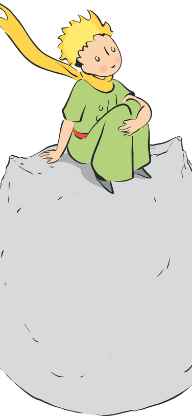 Illustration of the Little Prince lying on a field of flowers.