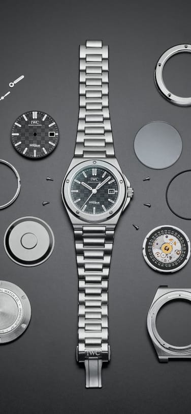 Watch components of the Ingenieur reference IW328901