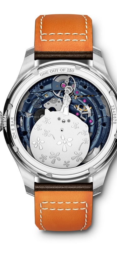 The reverse side of the IW502703 with steel case
