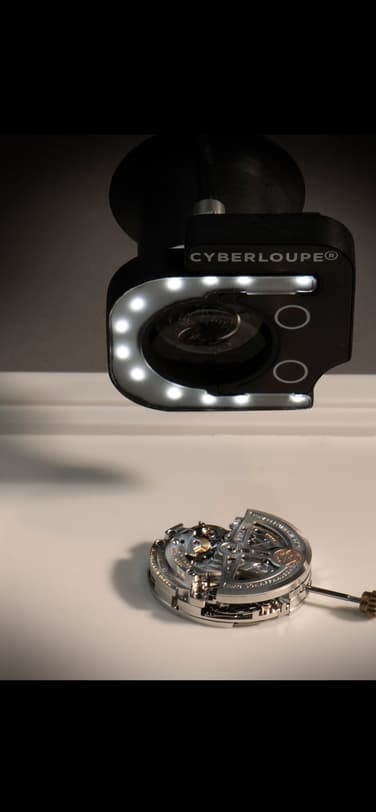 Cyberloupe movement closeup