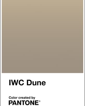 Pantone Color “IWC Dune”
