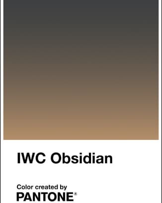 Pantone Color “IWC Obisidian”