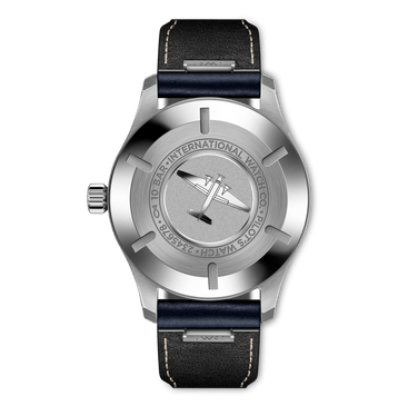 Pilot's Watch Mark XX - IW328203 - Stainless steel