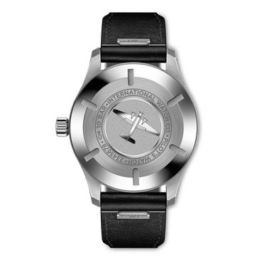 Pilot's Watch Mark XX - IW328201 - Stainless steel