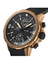 Aquatimer Chronograph Edition “Expedition Charles Darwin”