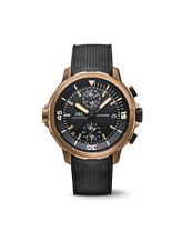 Aquatimer Chronograph Edition “Expedition Charles Darwin”