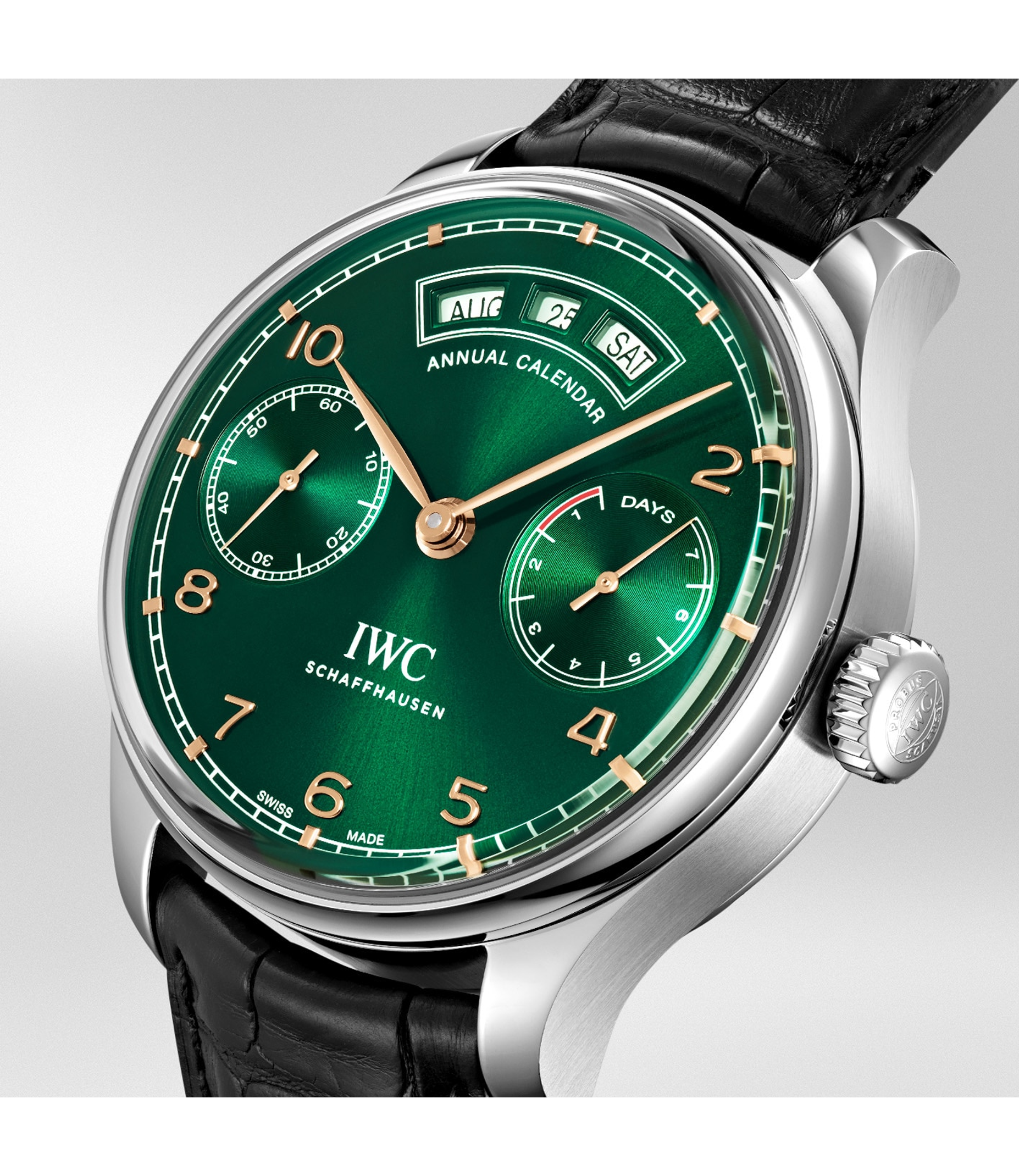 Portugieser Annual Calendar detail 2